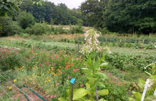 Cheronnac House | La Férandie