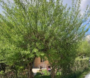 Lescheraines House | La Fabrique des Bauges