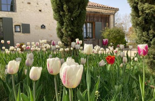 Bardou Bed & Breakfast | La Ferme Buissonnière