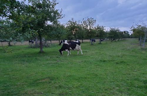 Equemauville House | la ferme chevalier