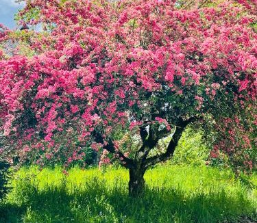 Thalamy House | La Ferme d'Antan - Thalamy