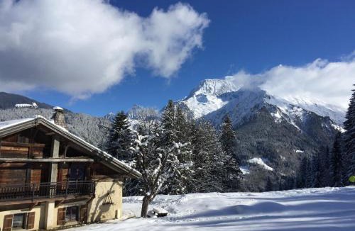 Saint-Nicolas-de-Veroce Ski Chalet | La ferme des ours