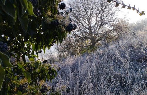 Sarceaux House | La Ferme de Frévan