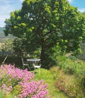 Saint-Andre-de-Rosans Bed & Breakfast | La Ferme de la Condamine