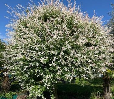 Louhans House | La Ferme de Jad