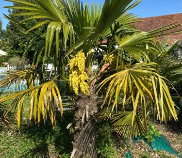 Louhans House | La Ferme de Jad