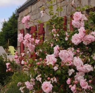 Combrit Bed & Breakfast | La Ferme de Kerraoul