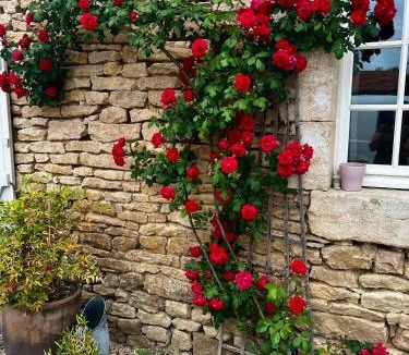 Semarey House | La Ferme de la Bergerie