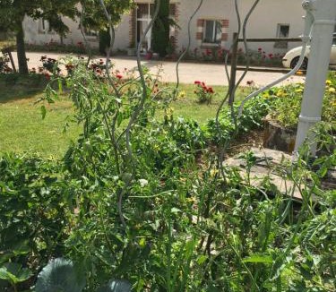 Thoury Bed & Breakfast | La Ferme de la Maugerie