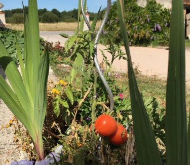 Thoury Bed & Breakfast | La Ferme de la Maugerie