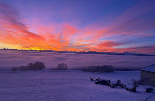La Praz House | La Ferme de la Praz - Rooms with a View