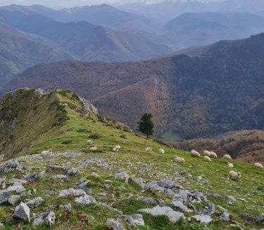 Lombres House | La Ferme de la Soula