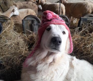 Lombres House | La Ferme de la Soula