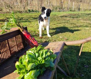 Lombres House | La Ferme de la Soula