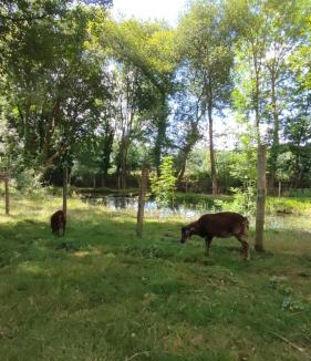 Plouer-sur-Rance Resort | La Ferme de Merlin