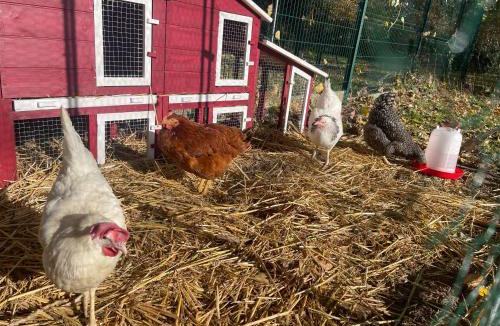 Sailly sur la Lys House | La ferme des 2 oliviers