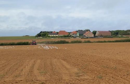 Audinghen Bed & Breakfast | La ferme des 4 vents