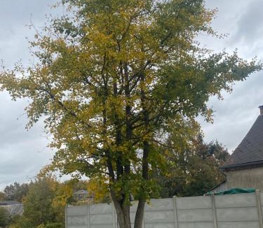 Felleries Apartment | La ferme des souvenirs 3