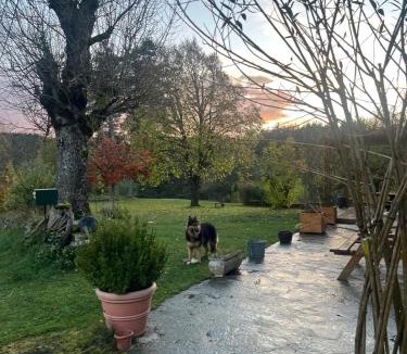 Doranges House | la ferme du garnasson