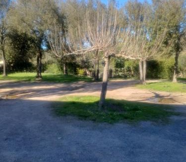 Moltifao Apartment | La ferme