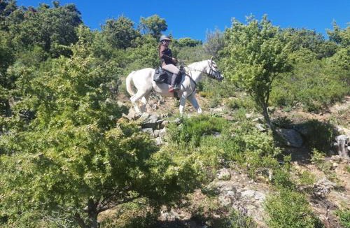 Moltifao Apartment | La ferme