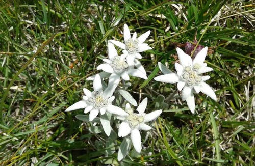 Sainte-Helene-sur-Isere House | La Ferme d'Agathe