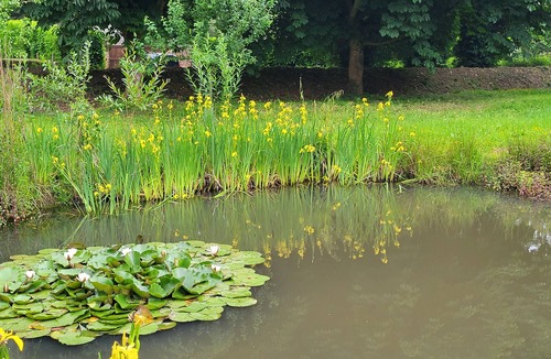 Bacqueville-en-Caux House | La Fermette