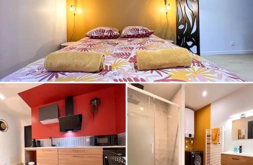 Fontenay-le-Comte Apartment | LA FEUILLERAIE N1-Standingappart-Wifi-proche ville