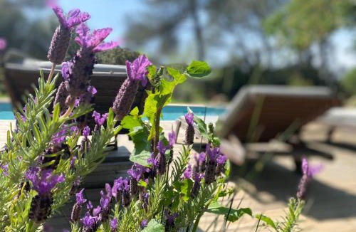 Quartier des Espesses House | La Finca