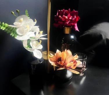 Flagy House | La Fleurangeraie - L'Orchidarium