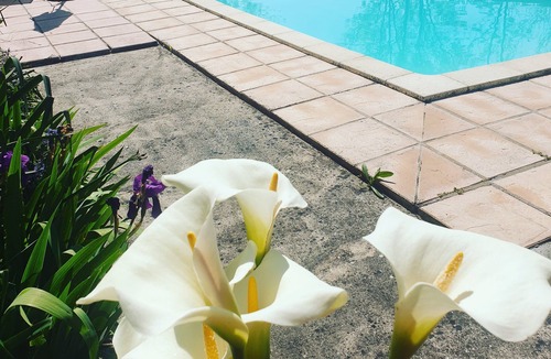 Sainte-Severe House | La fontenelle furnished rental with swimming pool in the heart of Cognac vineyards