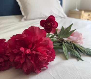 Saint-Etienne-au-Mont Bed & Breakfast | La Forestière du Château