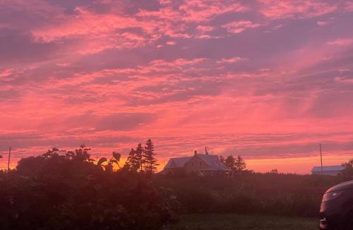 Cap-des-Rosiers Bed & Breakfast | La Forillonne