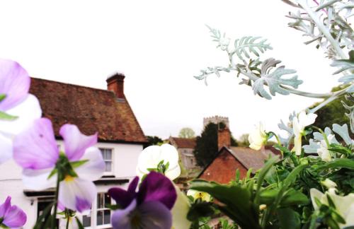Cranborne Bed & Breakfast | La Fosse at Cranborne
