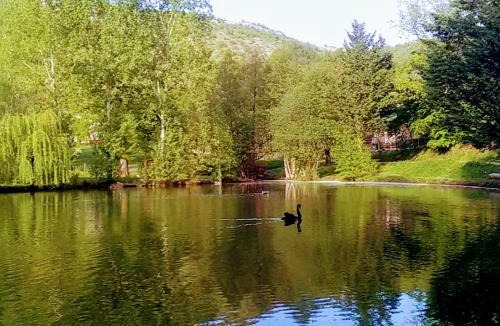 Clairvaux-d'Aveyron Other | la Frégière Chalets