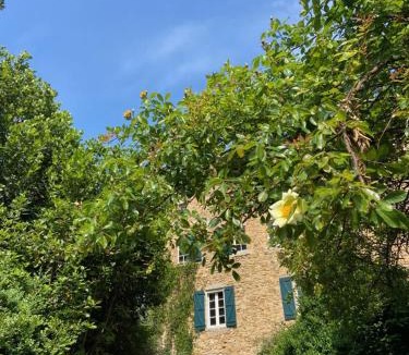Generargues House | La Frigoule, un gîte au cœur du parc des Cévennes