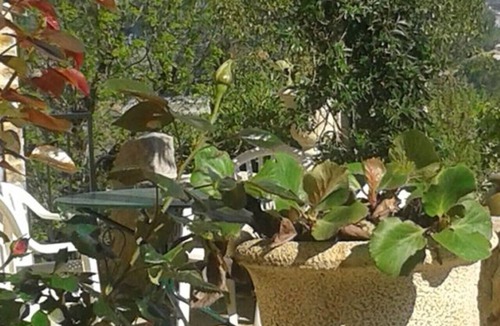 Vallon-Pont-d'Arc Cottage | La Gaillarde, charming gîte, close to the river, private parking.