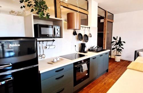 Mont-de-Marsan Apartment | La Galupe