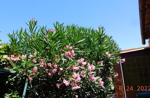Les Hauts de Villeneuve Apartment | la garrigue