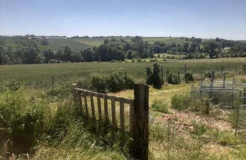 Vihiers Bed & Breakfast | La Gaucherie aux Dames