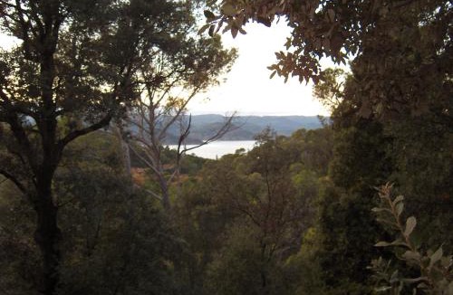 Clermont-l'Herault Bed & Breakfast | La Genestière