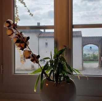 Airoux Apartment | La Ginelle - Appartement Savane