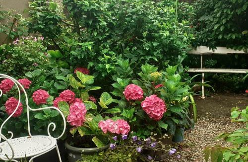 Asnelles House | la glycine