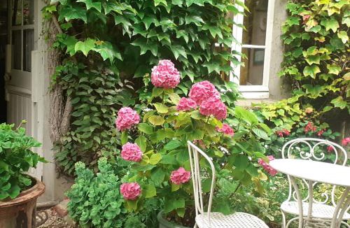 Asnelles House | la glycine