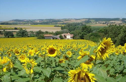 Larrazet House | La Grande Maison de Migou