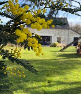 Soulaines-sur-Aubance House | La grange d'Elise