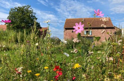 Phalsbourg Apartment | La Grange de Bois de Chêne