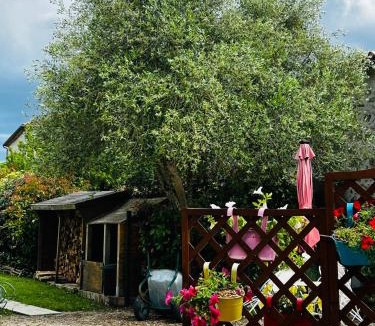 Saint-Amans-du-Pech House | La Grange de la Maison des chats - Loft en Quercy