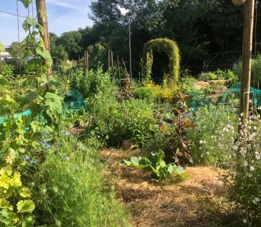 La Brousse Bed & Breakfast | La Grange de la Brousse