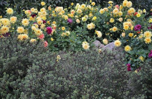 Bauge House | La Grange de la Gandonnerie